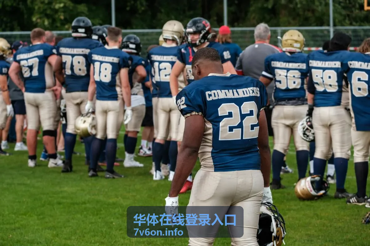 华体在线登录入口登录页面对照示意